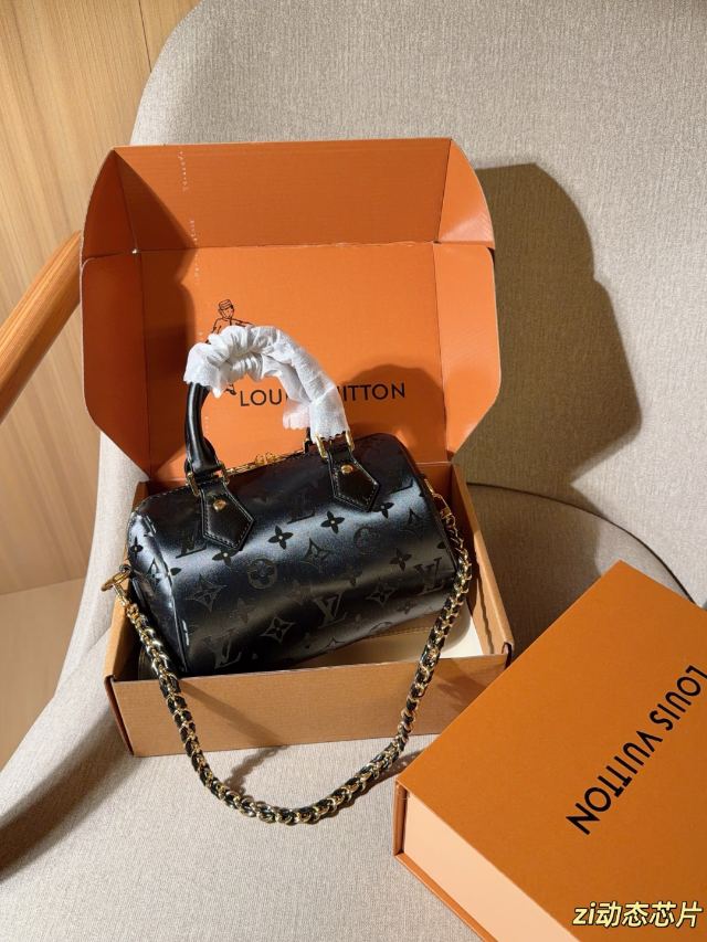 LOUIS VUITTON 467637